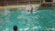 Zoo 2011 (443)